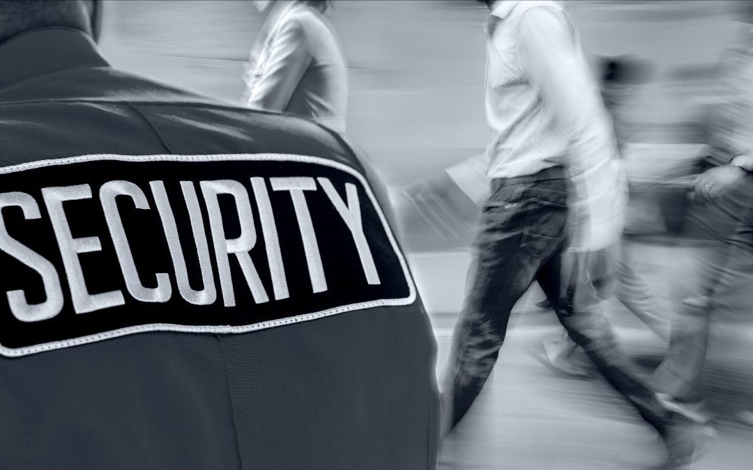 Protecting Your Business Through Sensible Security