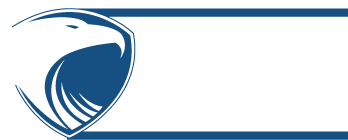 National Protective Services, Inc.