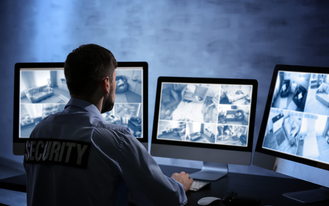 The Benefits of Surveillance for the Small Business Owner